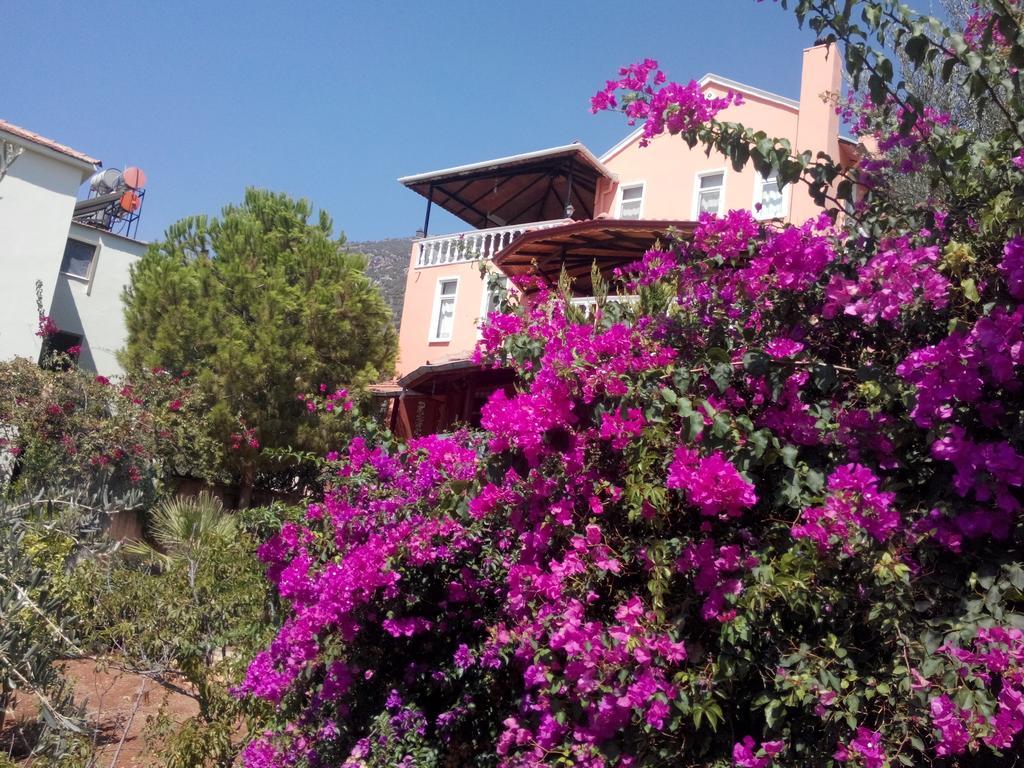 Villa Koknar Pension Kaş Habitación foto