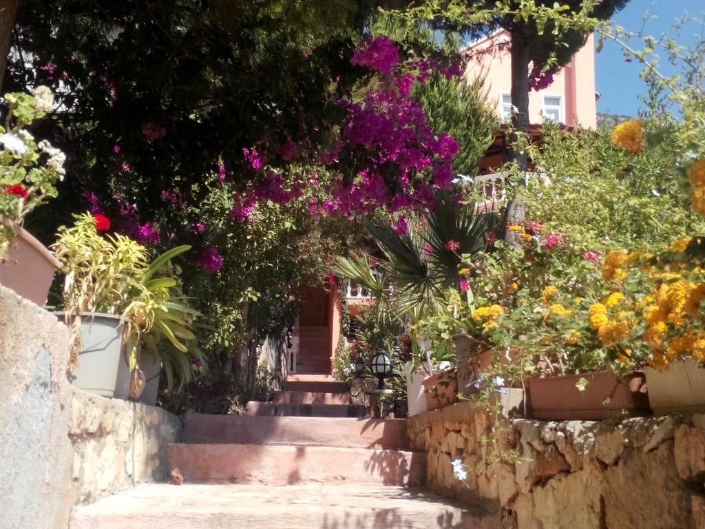 Villa Koknar Pension Kaş Habitación foto