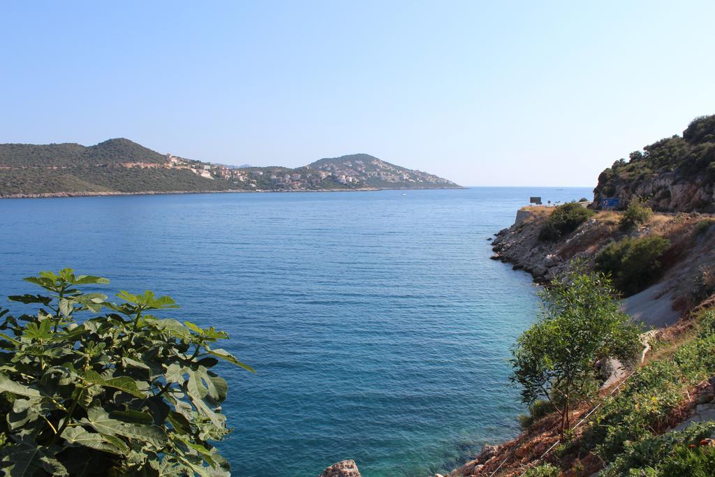 Villa Koknar Pension Kaş Habitación foto